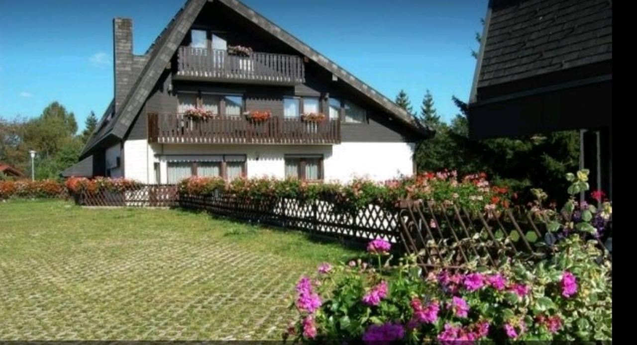 Ferienhaus-Schoenwald Im Herzen Des Schwarzwaldes 1Zimmer Wohnung Mit Terrasse App17 Kültér fotó