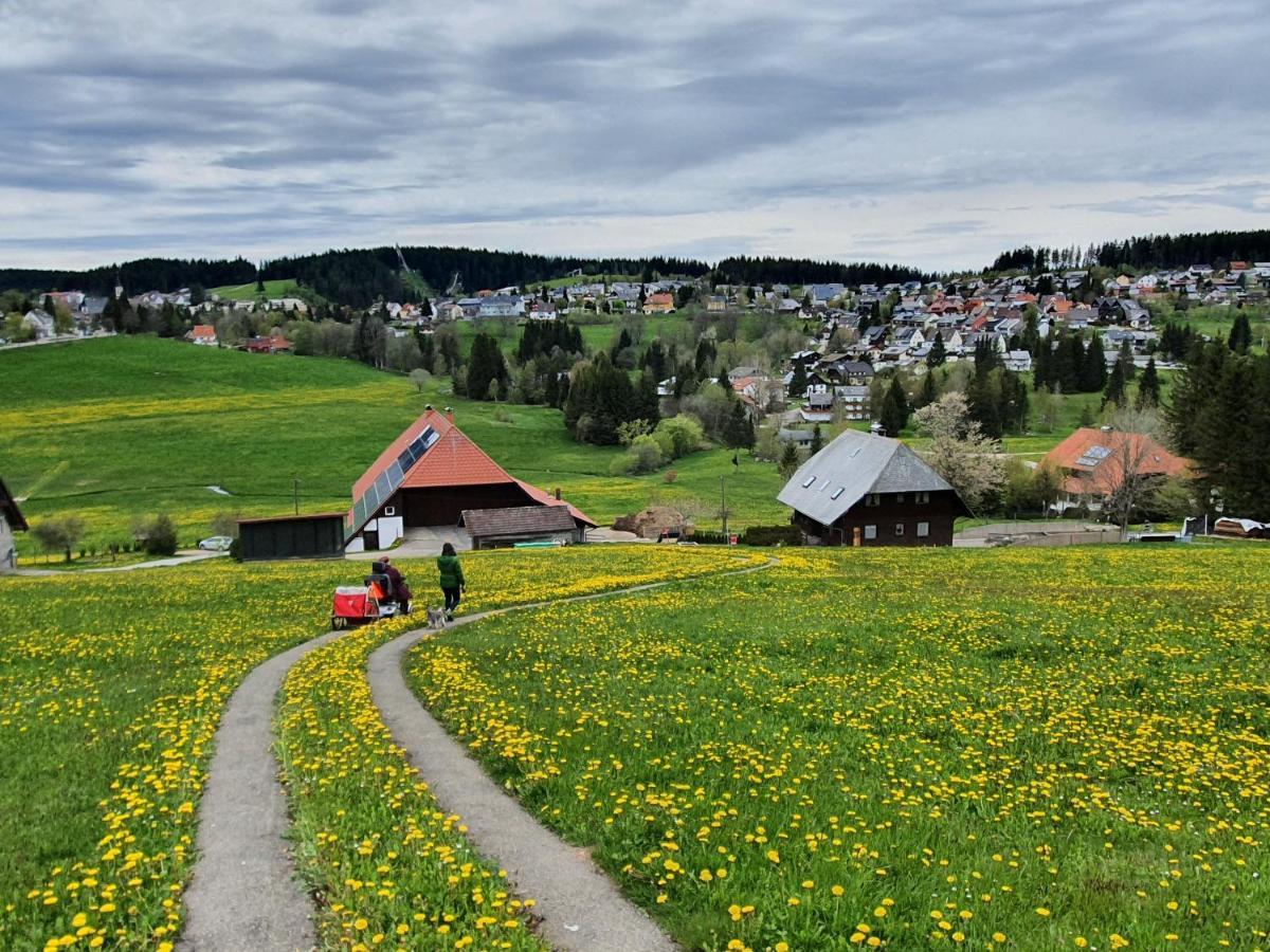 Ferienhaus-Schoenwald Im Herzen Des Schwarzwaldes 1Zimmer Wohnung Mit Terrasse App17 Kültér fotó