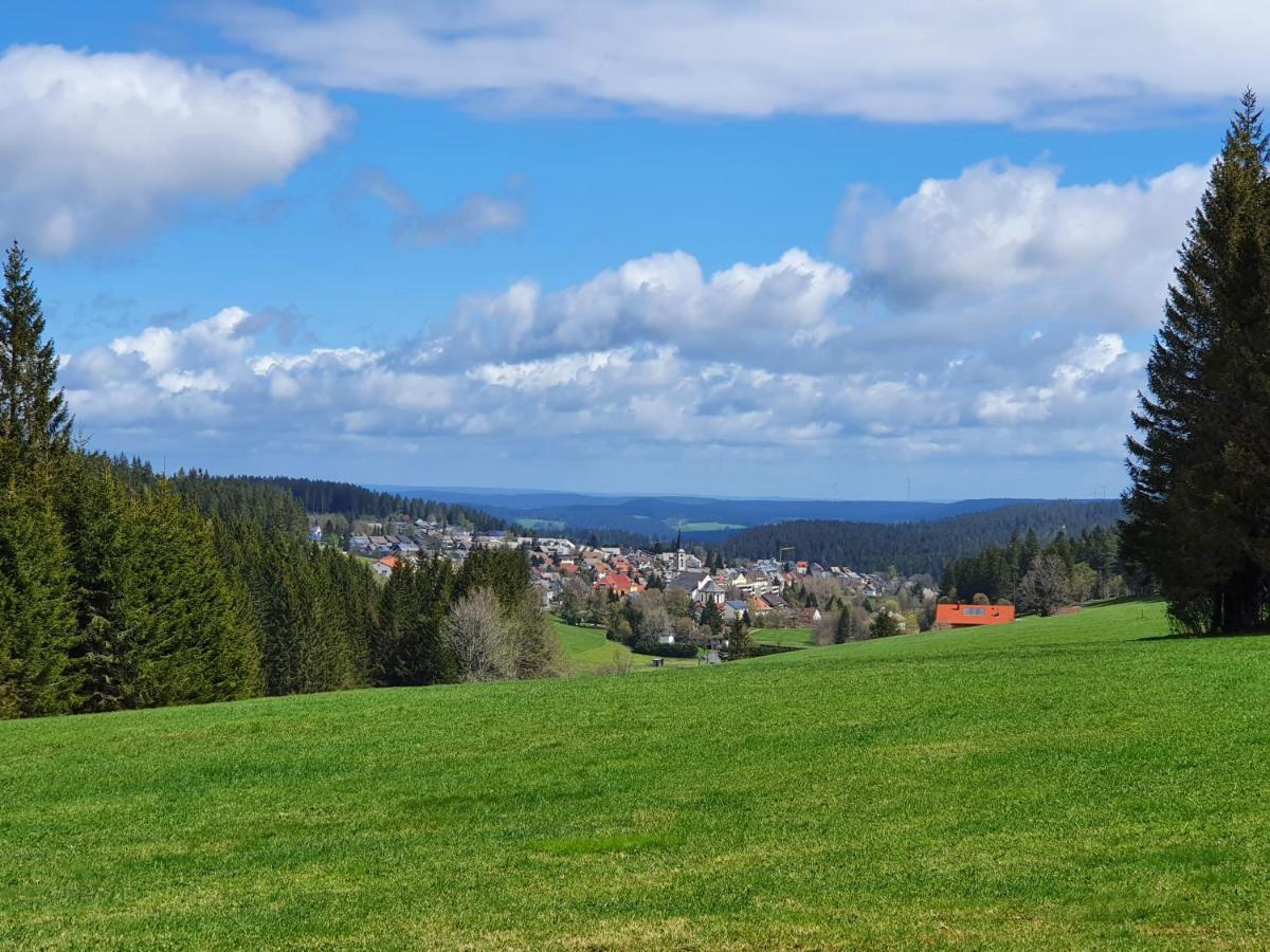 Ferienhaus-Schoenwald Im Herzen Des Schwarzwaldes 1Zimmer Wohnung Mit Terrasse App17 Kültér fotó